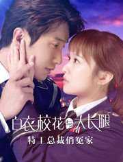 特工总裁俏冤家