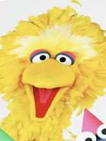 芝麻街国际版第40季