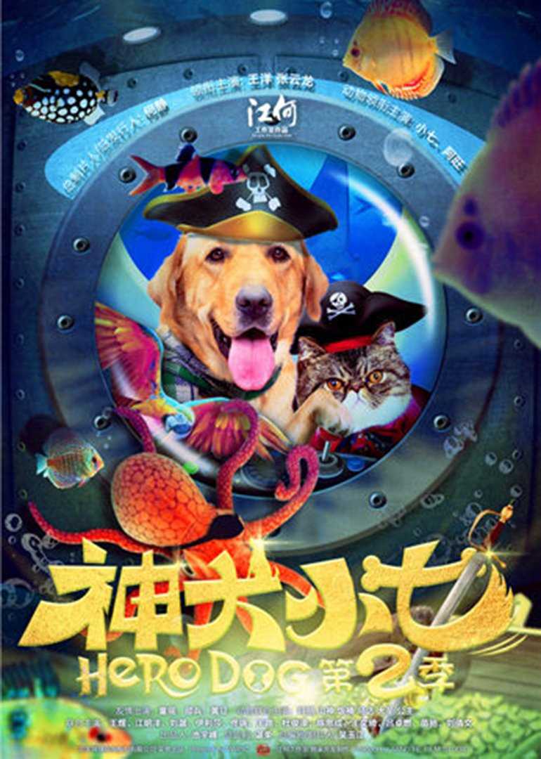神犬小七第二季D