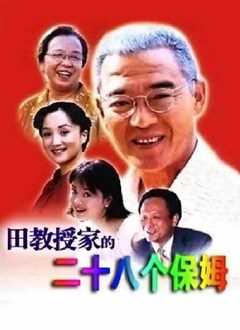 田教授家的28个保姆