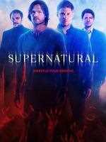 邪恶力量 第10季