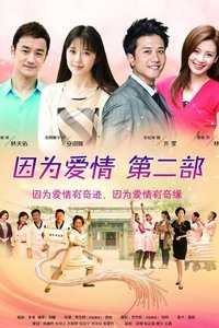 因为爱情第二部