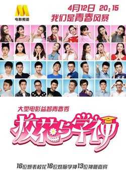 校花与学神
