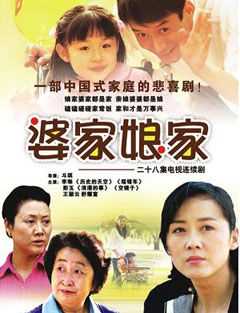 婆家娘家 第二部