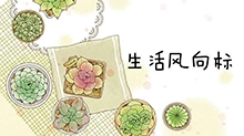 生活风向标