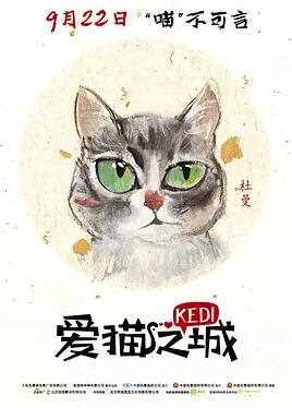 爱猫之城