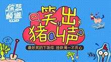 笑出猪叫声 2019年