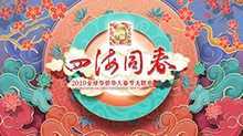 湖南卫视全球华侨华人春晚 2019年