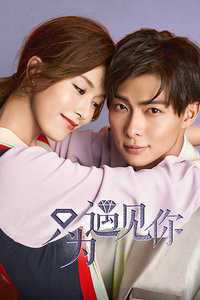 只为遇见你 D