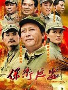 保卫延安