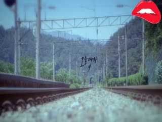 韩国美女组合k167