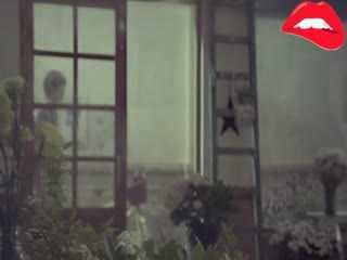 韩国美女组合k314