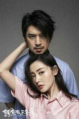 鳄鱼与牙签鸟[DVD版]