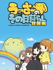 兔宝的悲惨日常