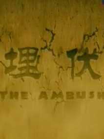 埋伏2011