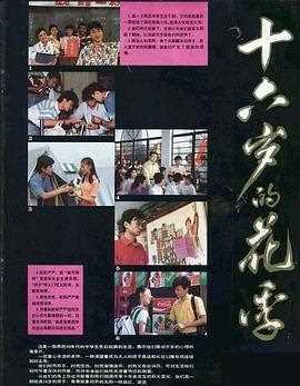 十六岁的花季