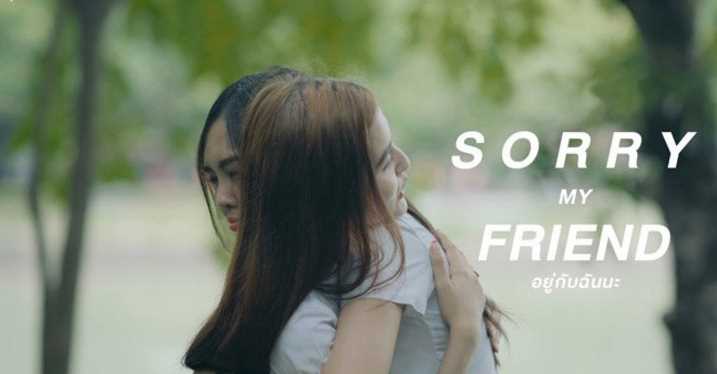 抱歉我的朋友
