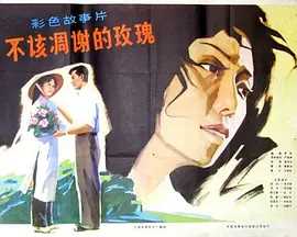 不该凋谢的玫瑰