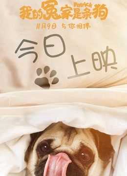 我的冤家是条狗 普通话版