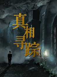 真相寻踪