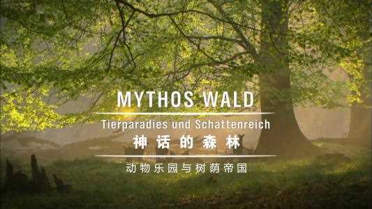 神话的森林