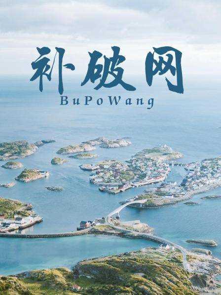 补破网