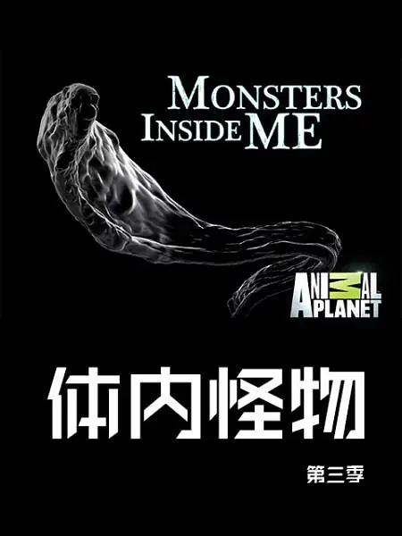 体内的怪物第三季