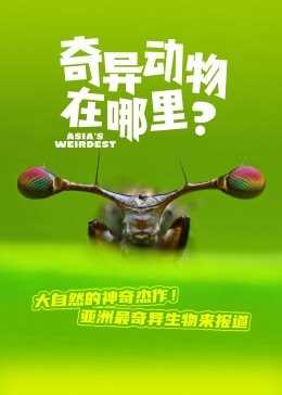 奇异动物在哪里?
