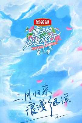 妻子的浪漫旅行 第二季（会员plus版）