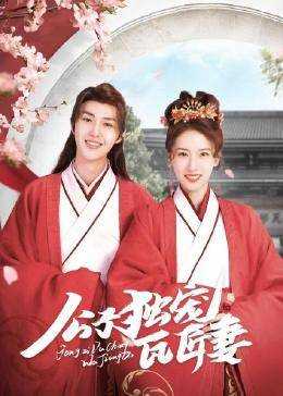 公子独宠瓦匠妻