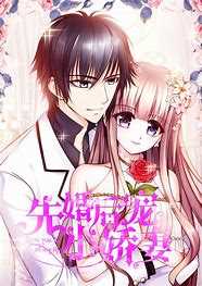 先婚后宠小娇妻 第三季