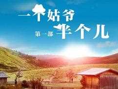 一个姑爷半个儿 第一部