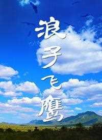 浪子飞鹰