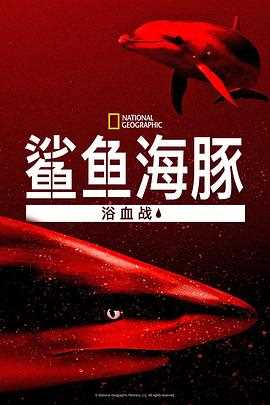 鲨鱼海豚浴血战