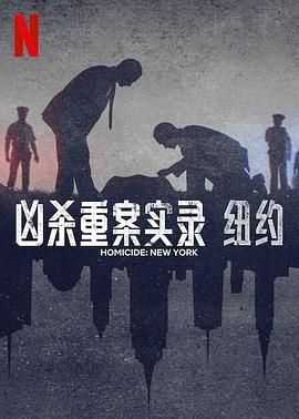 凶杀重案实录:纽约