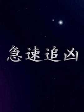 急速追凶