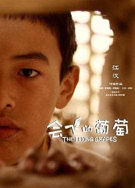 会飞的葡萄