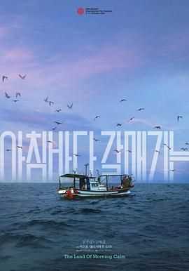晨海的海鸥