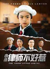 律师不好惹