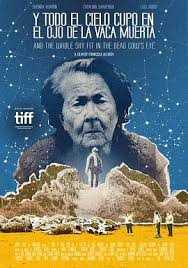 死牛的眼睛能看见整片天空