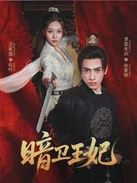 暗卫王妃