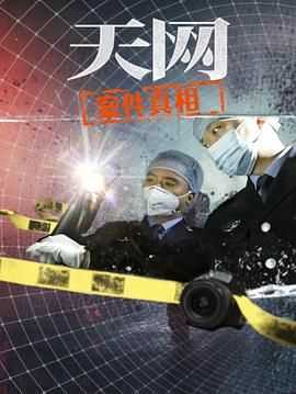 天网：案件真相