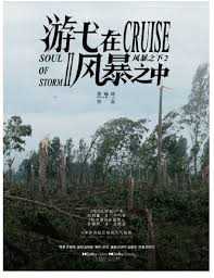 游弋在风暴之中