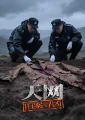 天网:旧案寻凶