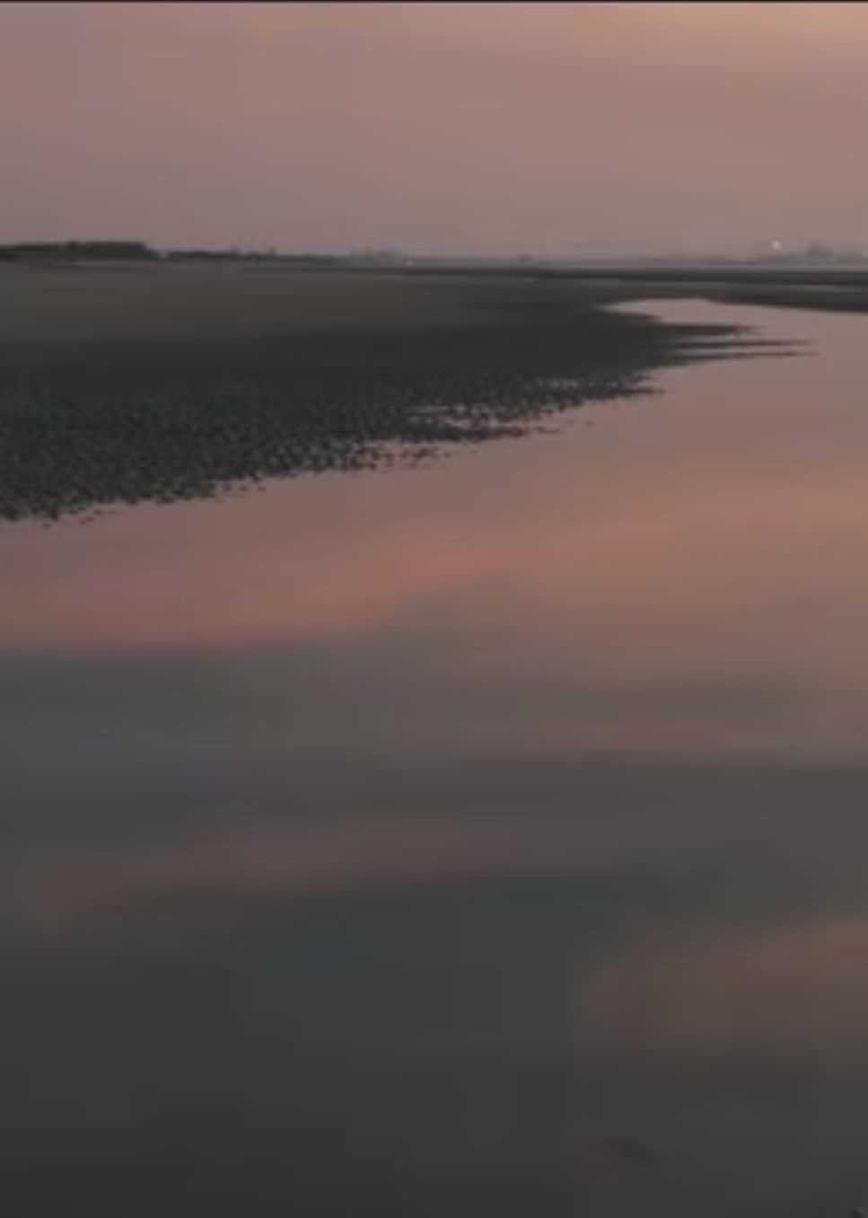 两个爸爸的故事​