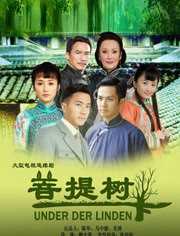 菩提树下