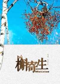 槲寄生