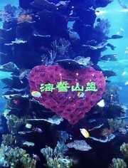 海誓山盟