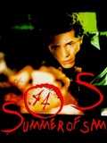 山姆的夏天
