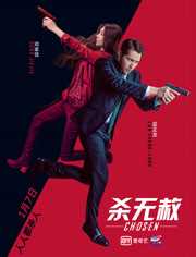 杀无赦1入局